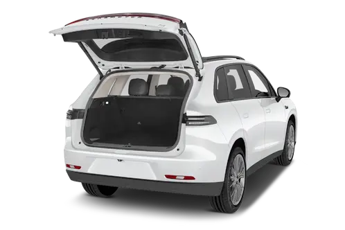 trunk