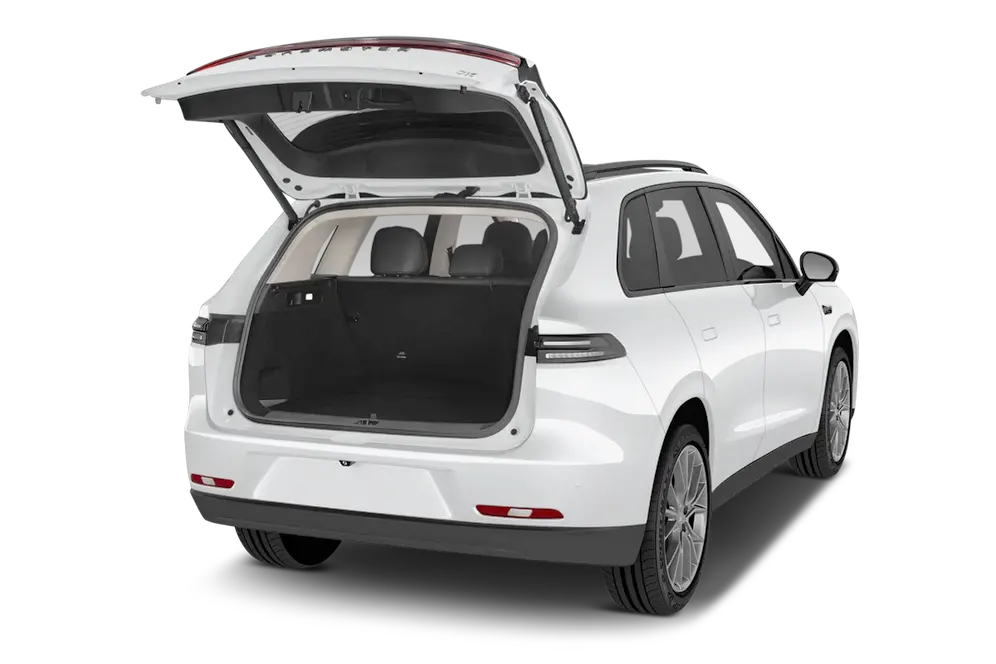 trunk