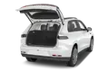 trunk