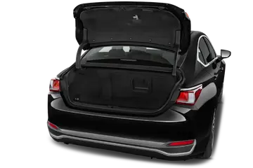 trunk