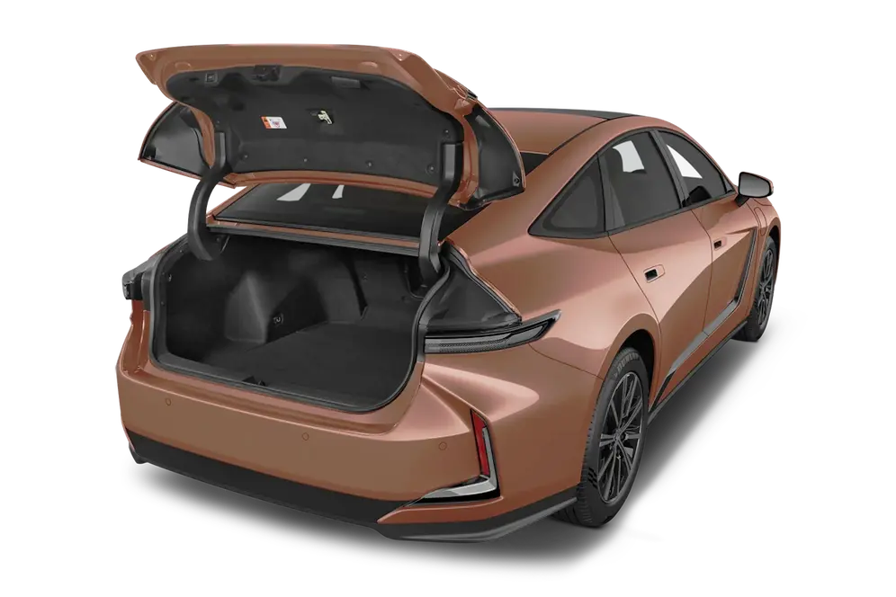 trunk