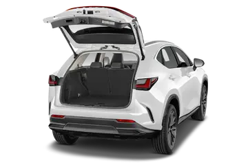 trunk
