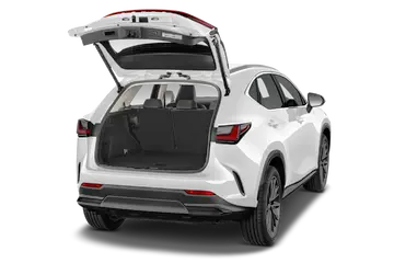 trunk