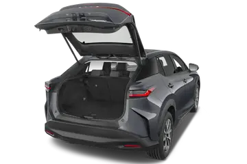 trunk