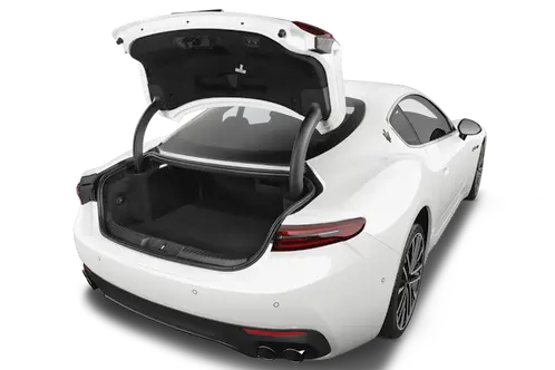 trunk