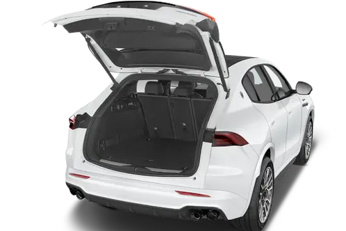 trunk