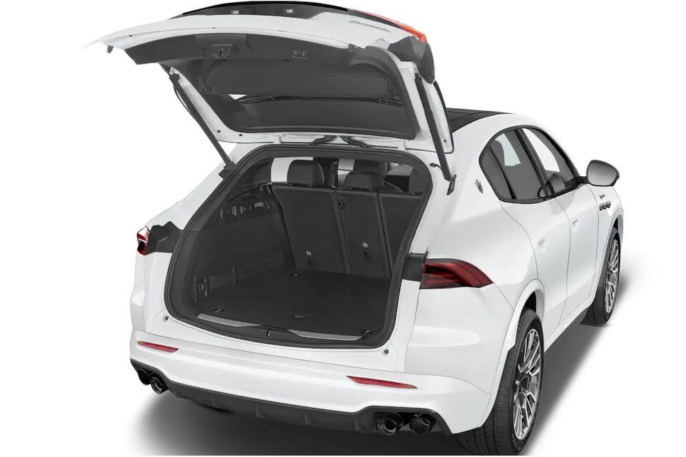 trunk