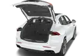 trunk
