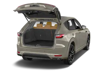 trunk