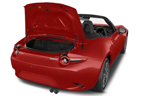trunk