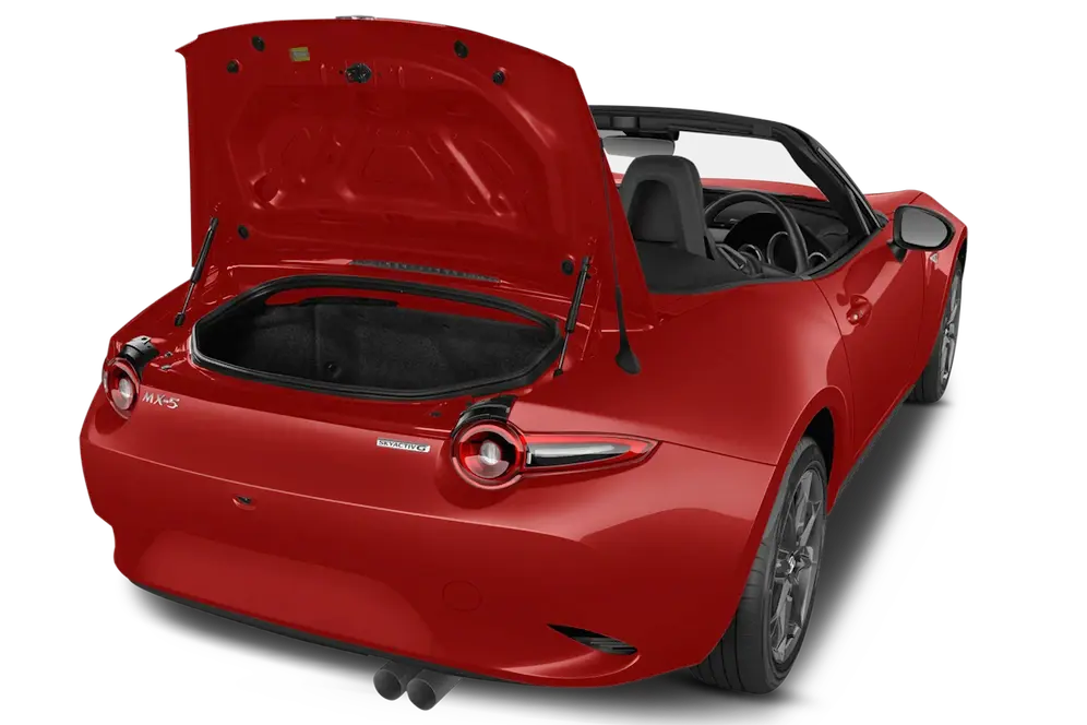trunk