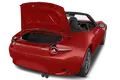 trunk