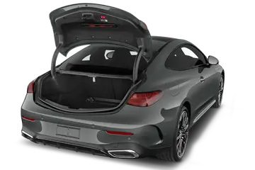 trunk