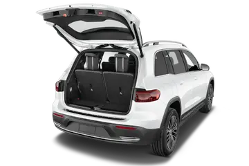 trunk