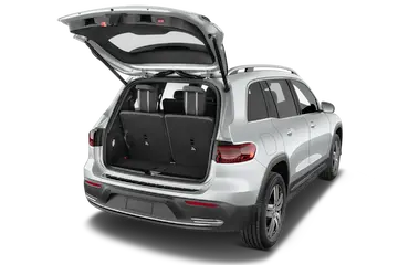 trunk