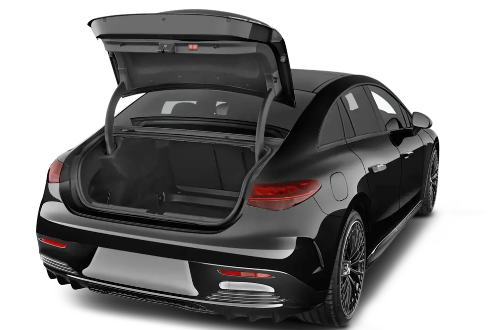 trunk