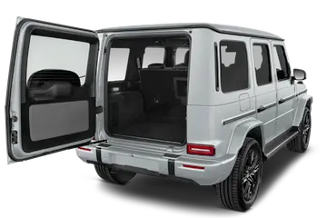 trunk