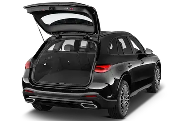 trunk