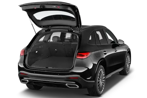 trunk