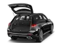 trunk