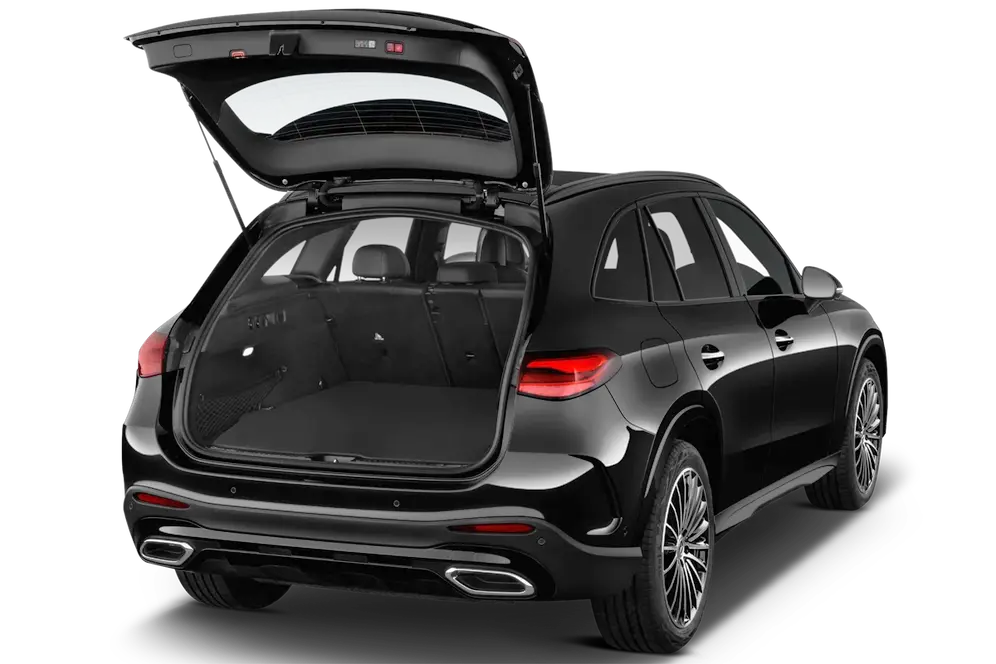 trunk