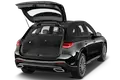 trunk