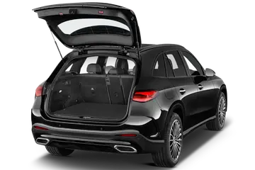 trunk