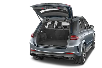 trunk