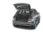 trunk