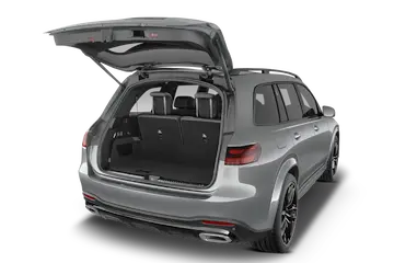 trunk