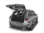 trunk