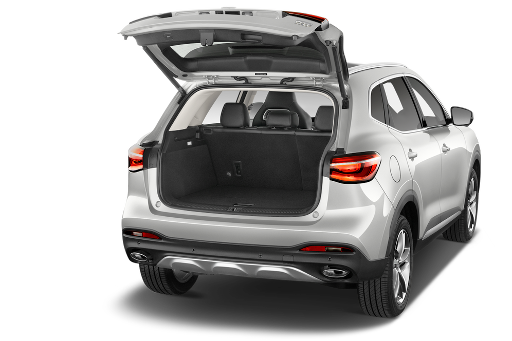 trunk