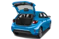 trunk