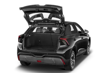 trunk