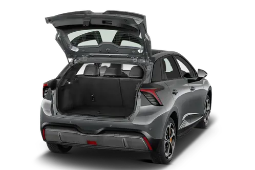 trunk