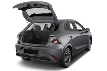 trunk
