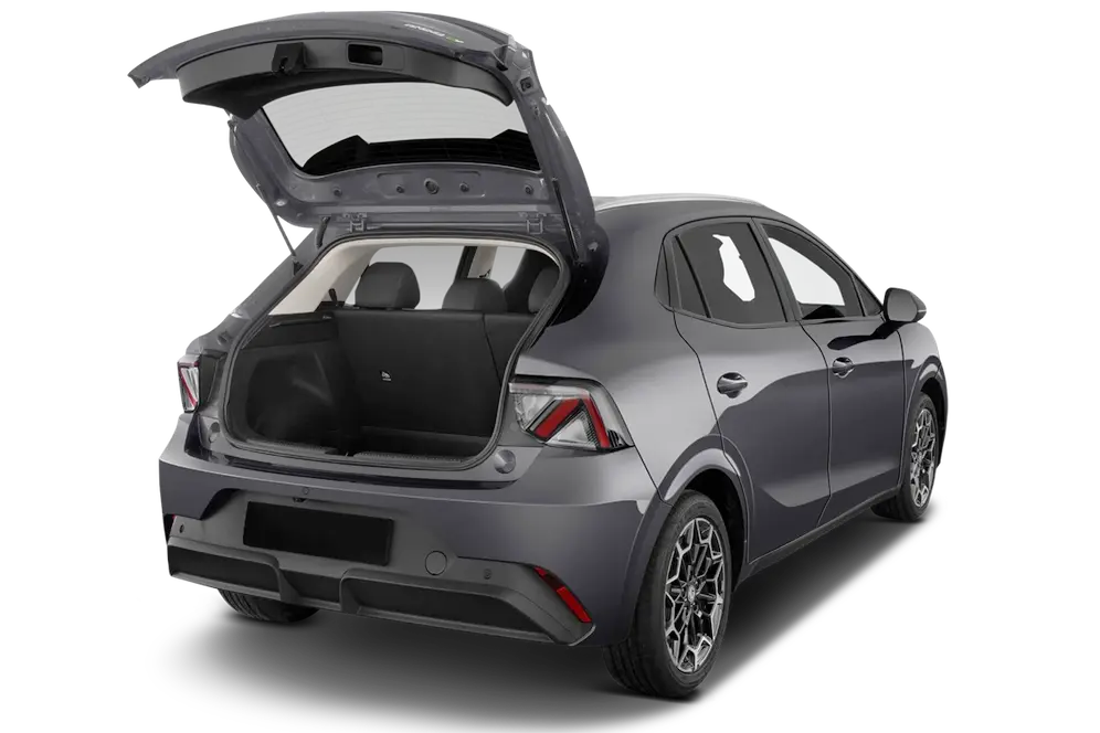 trunk