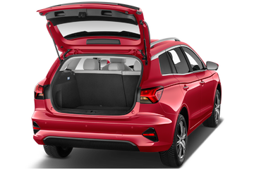 trunk