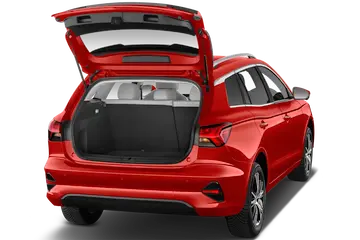 trunk