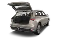 trunk