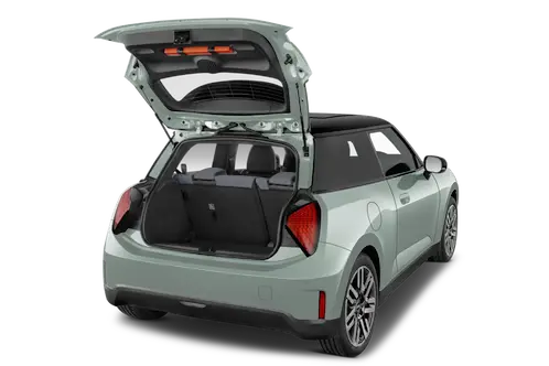 trunk