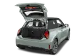 trunk