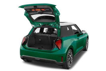 trunk