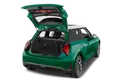 trunk