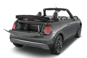 trunk