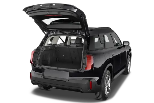 trunk