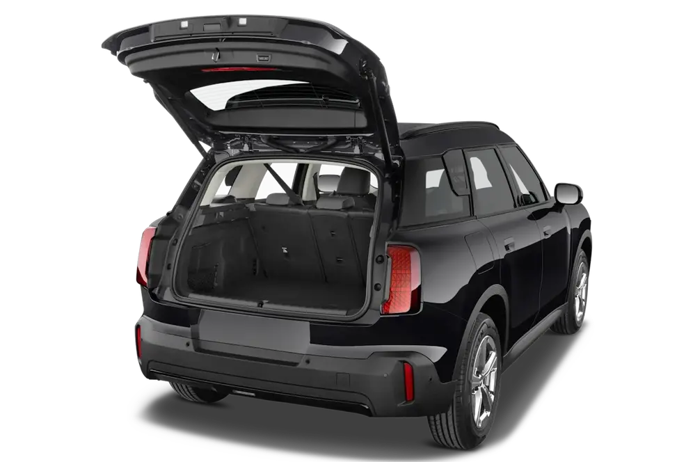 trunk