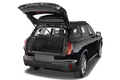 trunk