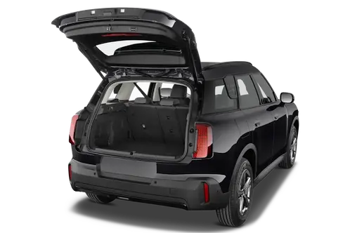 trunk