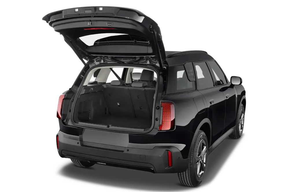 trunk